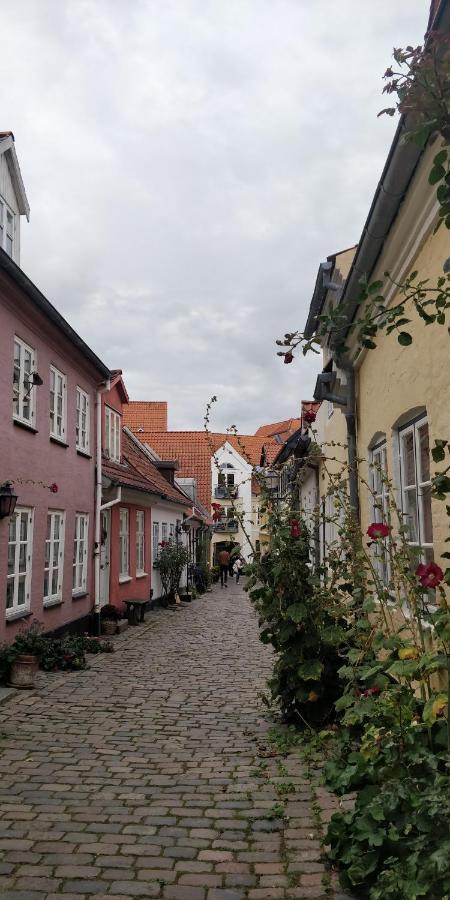 Apartment In The Heart Of Aalborg Exterior photo